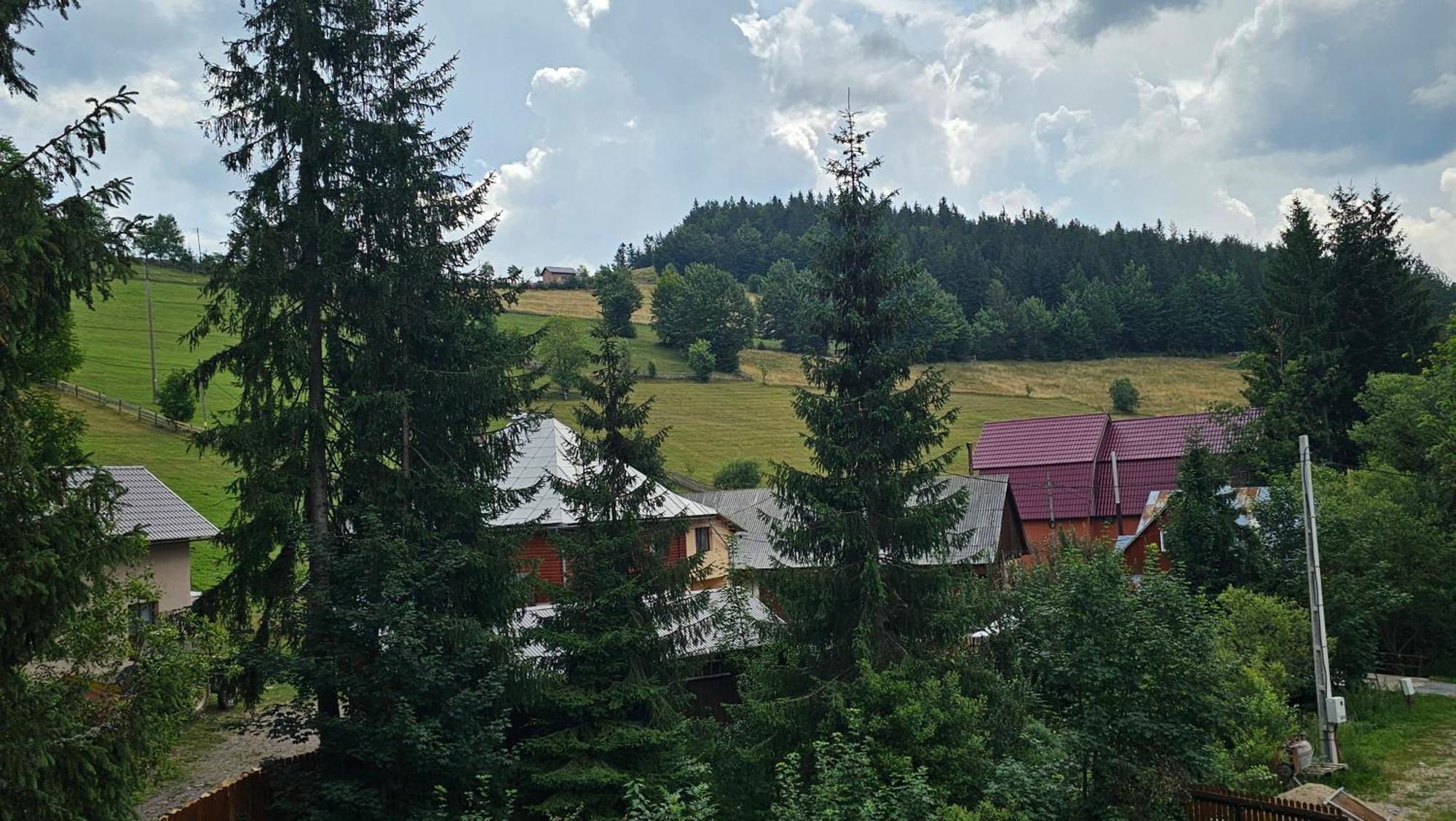 Vila Cabana Rodica Arieşeni Exteriér fotografie